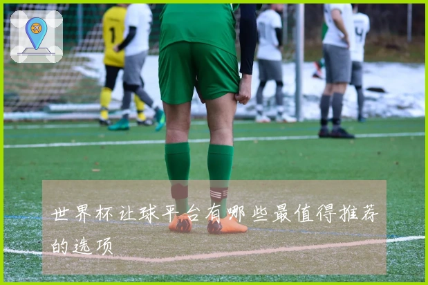 世界杯让球平台有哪些最值得推荐的选项