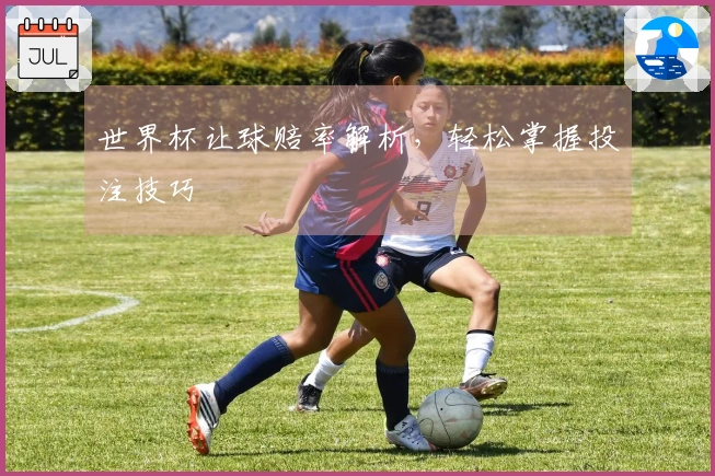 世界杯让球赔率解析，轻松掌握投注技巧