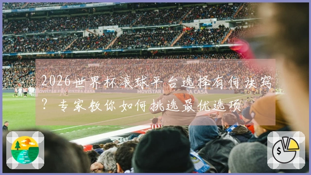 2026世界杯滚球平台选择有何诀窍？专家教你如何挑选最优选项