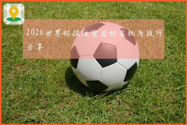 2026世界杯投注背后的玄机与技巧分享