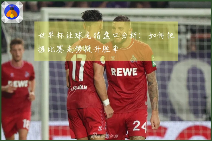 世界杯让球竞猜盘口分析：如何把握比赛走势提升胜率