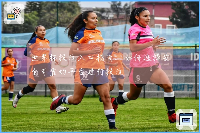 世界杯投注入口指南：如何选择安全可靠的平台进行投注
