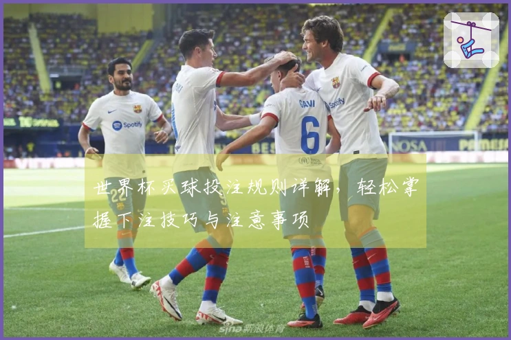 世界杯买球投注规则详解，轻松掌握下注技巧与注意事项